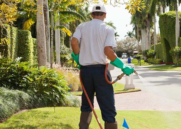 About Acton MT Pest Control Pros